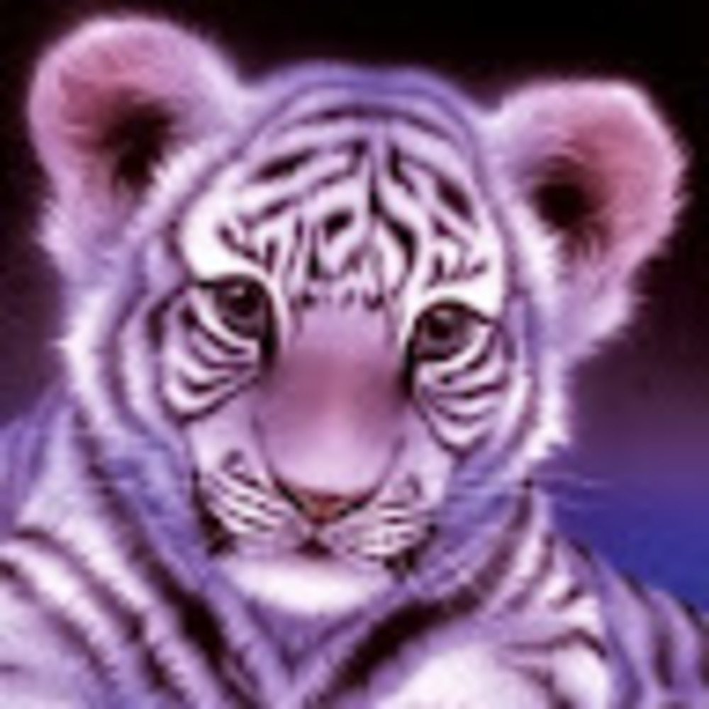 Meet your Posher, Angela